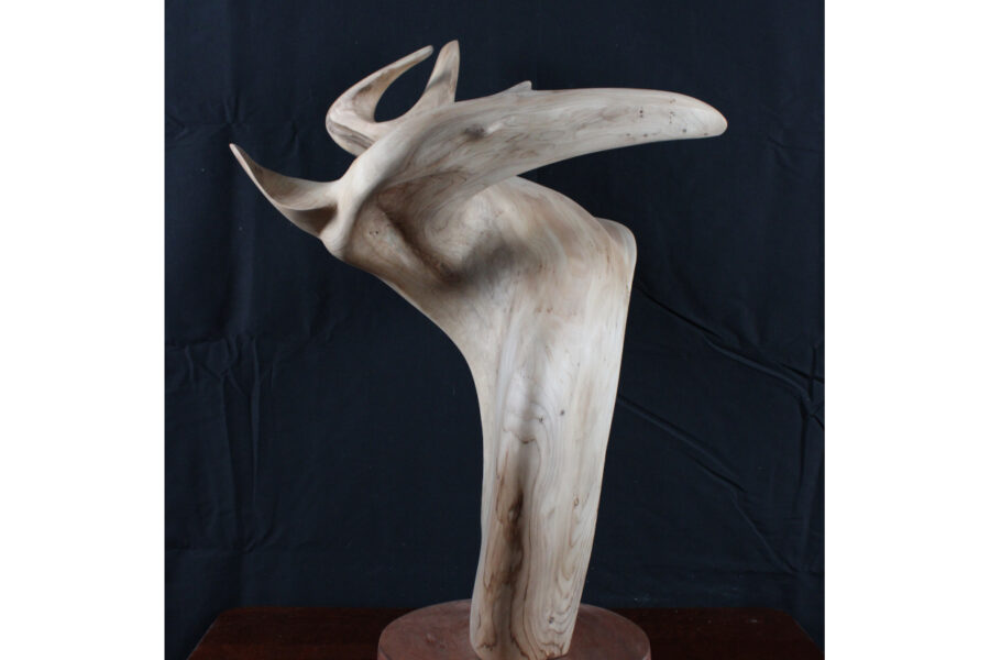 From Tree Roots to Sculptures in New Brunswick